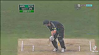 Very dangerous bowling of Muhammad Amir against Shane Watson