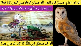 Hazrat imam hussain and owl story of karbala. Ullu or imam hussain ka waqia