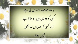 بات صرف احساس کی ہے کسی کو دو پل میں ہوجاتا ہے
