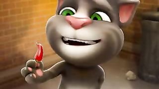 FUNNY TOMCAT