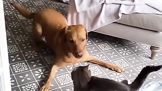 Play time