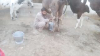 میرےپینڈدیاں