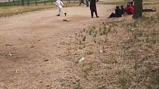Cricket