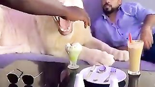 Dubai king