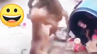 Funny animal