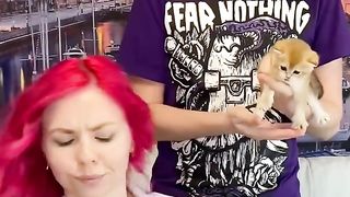 Cats or Phone who win ??