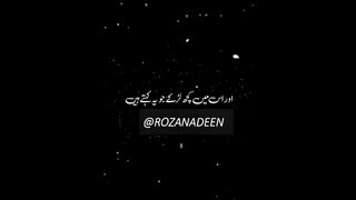 Valentine's Day Special Status Video | status 2023 | Islamic status for Valentine's day | Whatsapp