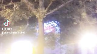 Beautiful tree
