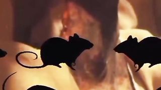 #knowledge video