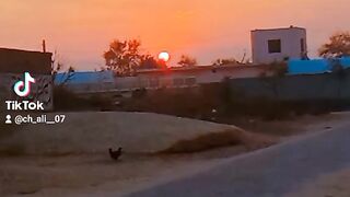 New video