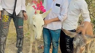 #funny video