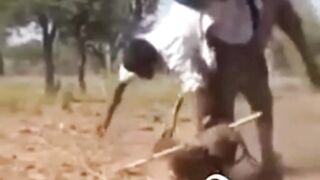 can't stop laughing at funny video compilation