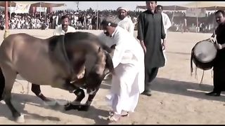 Horse Dance