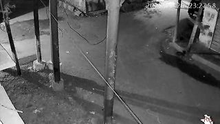 IP Camera result