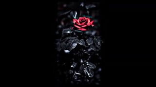 Sawan aaya hai ----x Efx