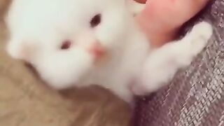Sweet sleep