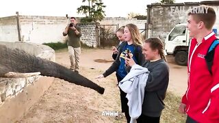 Damn_Nature_You_Scary_Pt._2_|_Funny_Scary_Animal_