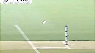Cricket fans