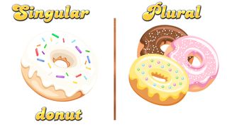 Singular and plural|singular and plural nouns|singular and plural nouns for kids|singular|plural nouns|plural words