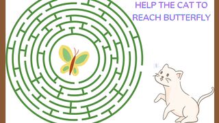 Help the cat to reach the butterfly