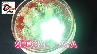 Special Beef Paya