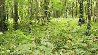 Meditation and mind relaxing video , forest beautiful video ,nature