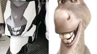 Bike Look Donkey