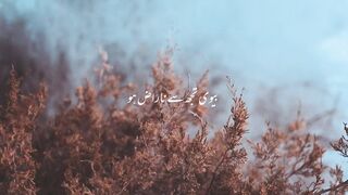 Islamic Bayan