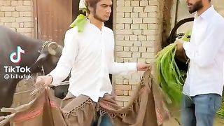 Funny video
