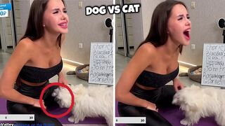 BAD DAY Better Watch This Fail Videos