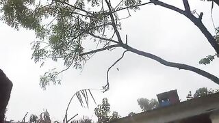 viral tiktok