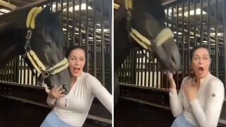 Cool Fail Videos I Found on Reddit