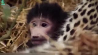 THE MOST INTERESTING ANIMAL BLOGS