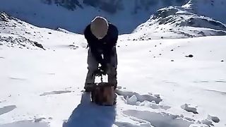 İsveç Kütük Ocağında Dana Antrikot ???? ????  beef ribeye in swedish log quarry
