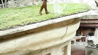 Building a modern hut with a grass roof.