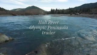 River flowing Olympic national park