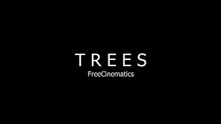 Trees video