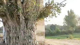 Beauty full evening time