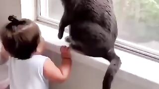 cute babies vs cute pets | funny kids video | cute baby funny video