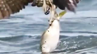 Eagle Hunt