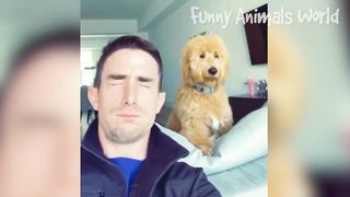 Funny Dogs And Cats Videos 2023 - Best Animal Videos Of The Month 1