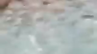 Beautiful Fishes