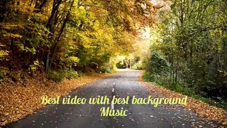 Free background music-free music