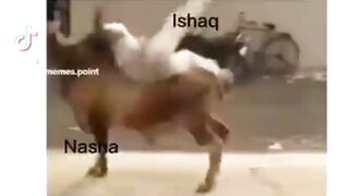 ????????????????