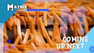 How Are McDonald's French Fries Made - Food Factory