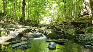 Beautiful Nature and Relaxing Sounds.