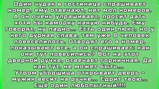чудак любопытный.. Анекдоты. Анекдоты смешные до слёз для хорошего настроения!