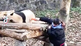 Обед по расписанию