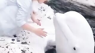 Нежность...