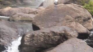 Bomburu Ella - Srilanka